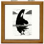 Killer Whale Pen and Ink Tile/Coaster Box by NANCE